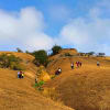 Savandurga Trek From Bangalore Itinerary Day 1