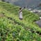 Ooty Tour Package from Bangalore review