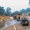 Jim Corbett Trip review