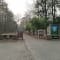 Jim Corbett Trip review