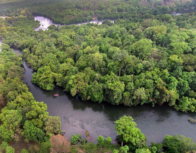 Dandeli Tour Package from Bangalore Image