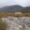 Jim Corbett Trip review