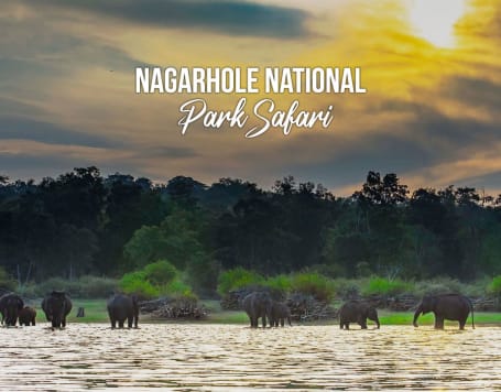 Nagarhole National Park Safari
