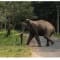 Bangalore to Wayanad Package review