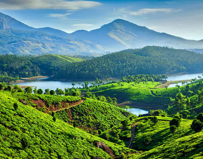 Munnar Tour Package From Bangalore Image