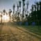Chikmagalur Tour Package from Bangalore review
