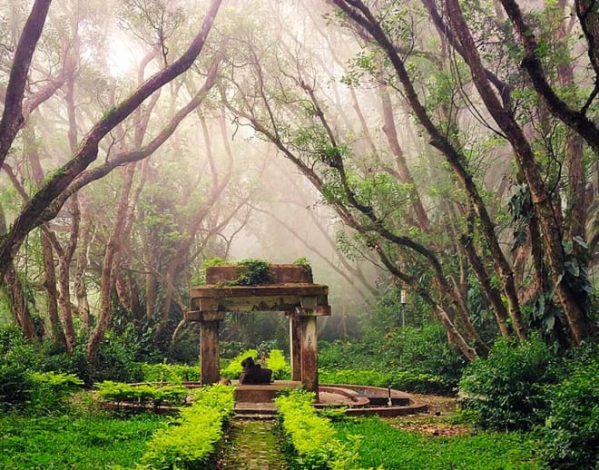 Nandi Hills Trekking Image