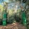 Kumara Parvatha Trek Package from Bangalore review