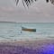 8 Days Offbeat Tour of Andaman review