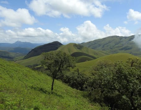 Kodachadri Trek