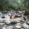 Ali Bedni Bugyal Trek review