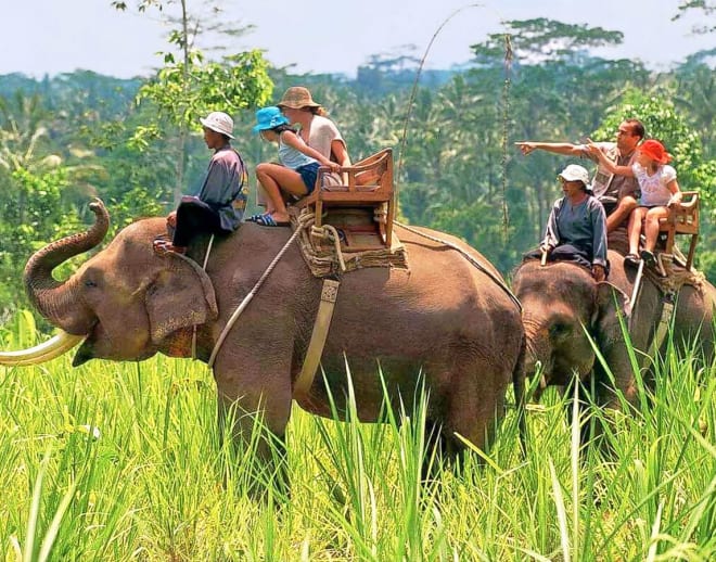 Jim Corbett Trip Image