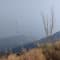 Netravati Trek, Chikmagalur review