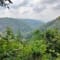 Dandeli Tour Package from Bangalore review