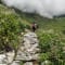 Valley of Flowers Trek with Hemkund Sahib review