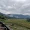 Jim Corbett Trip review