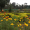Bangalore to Wayanad Package review
