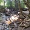 Netravati Trek, Chikmagalur review