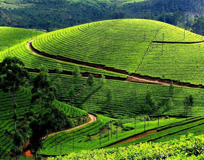 Bangalore to Kodaikanal Package Image