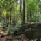 Kumara Parvatha Trek Package from Bangalore review