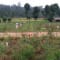 Bangalore to Wayanad Package review