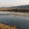 Jim Corbett Trip review