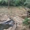 Bangalore to Wayanad Package review