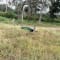 Ooty Tour Package from Bangalore review