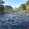 Jim Corbett Trip review