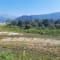Jim Corbett Trip review