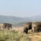 Jim Corbett Trip review