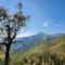 Netravati Trek, Chikmagalur review