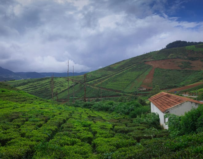 Bangalore to Coorg Tour Package Image