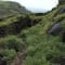 Rajmachi Trek and Kondane Caves: The ideal weekend getaway! review