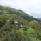 Munnar Tour Package From Bangalore review