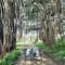 Bangalore to Wayanad Package review