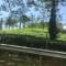 Bangalore to Wayanad Package review