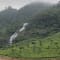Munnar Tour Package From Bangalore review