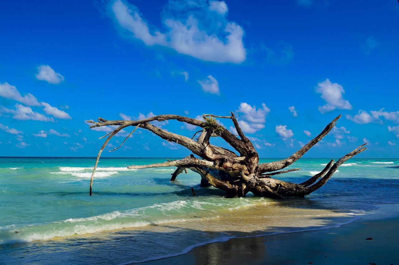 6 Day Andaman Honeymoon Tour Package with Romantic Beachside Stay Port Blair Itinerary Day 2