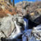 Har Ki Dun Trek With Camping review