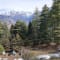 Auli Package From Delhi review