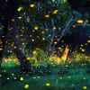 Prabalmachi Fireflies Night Trek Itinerary Day 1