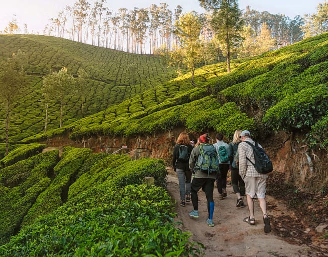 Bangalore to Coorg Tour Package Image