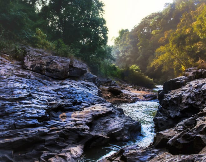 Dandeli Tour Package from Bangalore Image