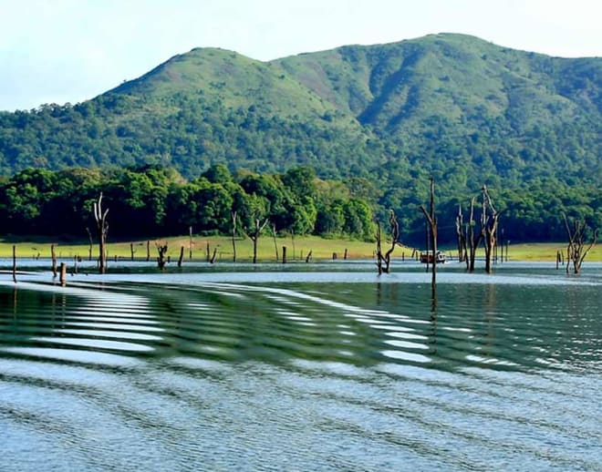 Thekkady Tour Package From Bangalore Image