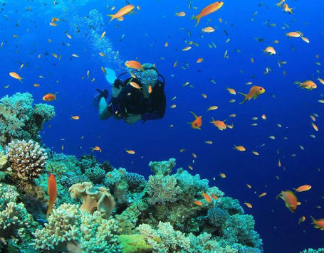Scuba diving In Malvan with Watersports Goa