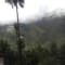 Dalhousie Winter Trek with Camping review
