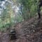 Netravati Trek, Chikmagalur review