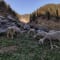 Kareri Lake Trek from Delhi review