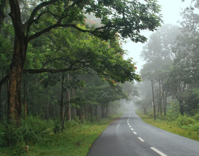 Bangalore to Wayanad Package Image